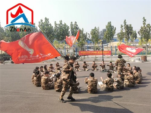 Competitive Price Silicate Refractory Mortar Competitive Price Silicate Refractory Mortar